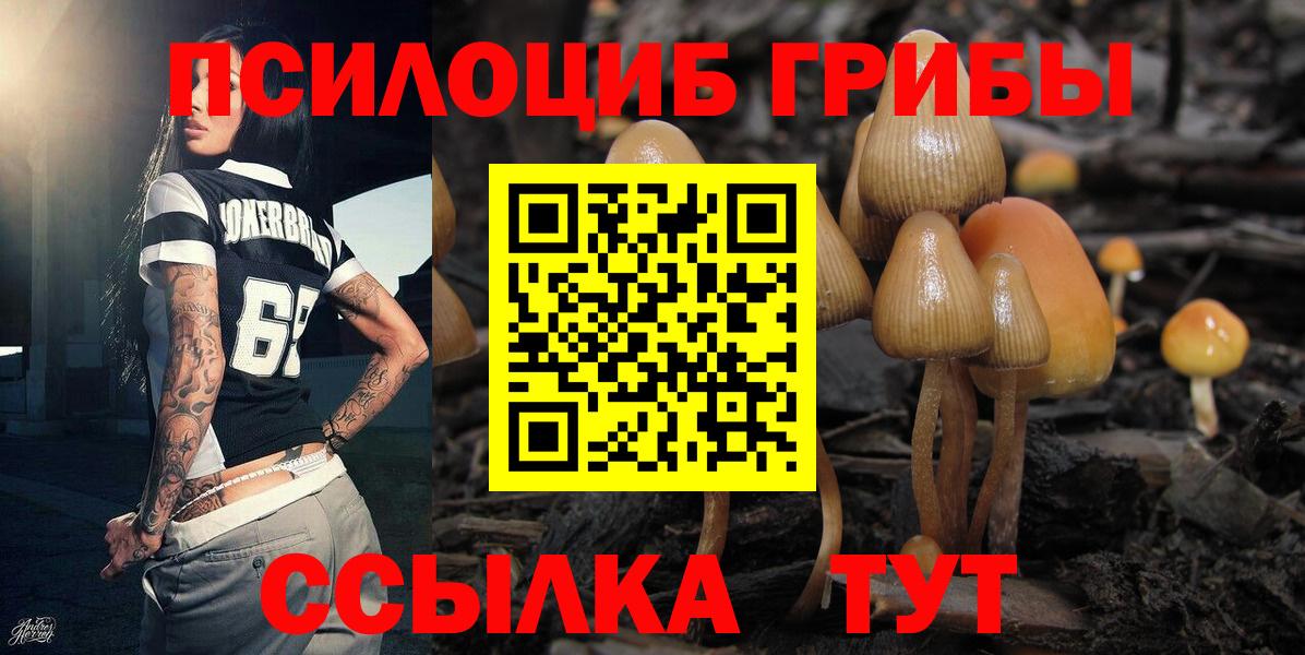 Галлюциногенные грибы GOLDEN TEACHER Кушва